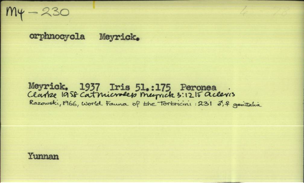 front of card
